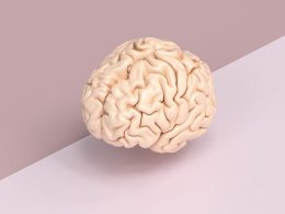 Что будет если не развивать свой мозг?