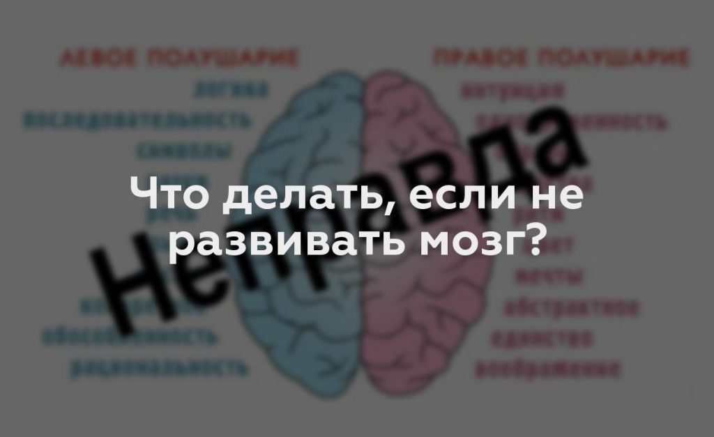 Что делать, если не развивать мозг?