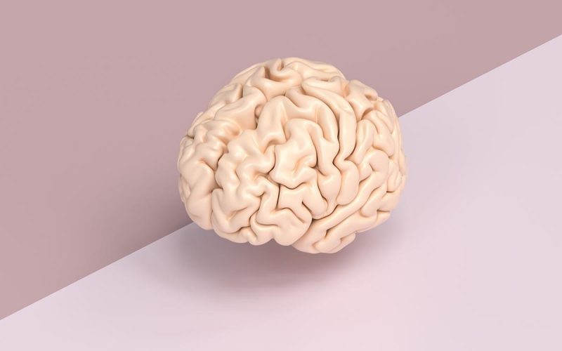 Что нужно для мозга?