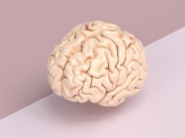 Что очень полезно для мозга?