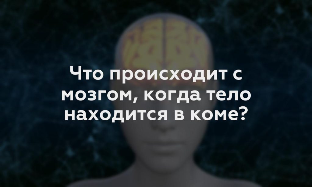 Что происходит с мозгом, когда тело находится в коме?