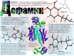 Что творит дофамин?