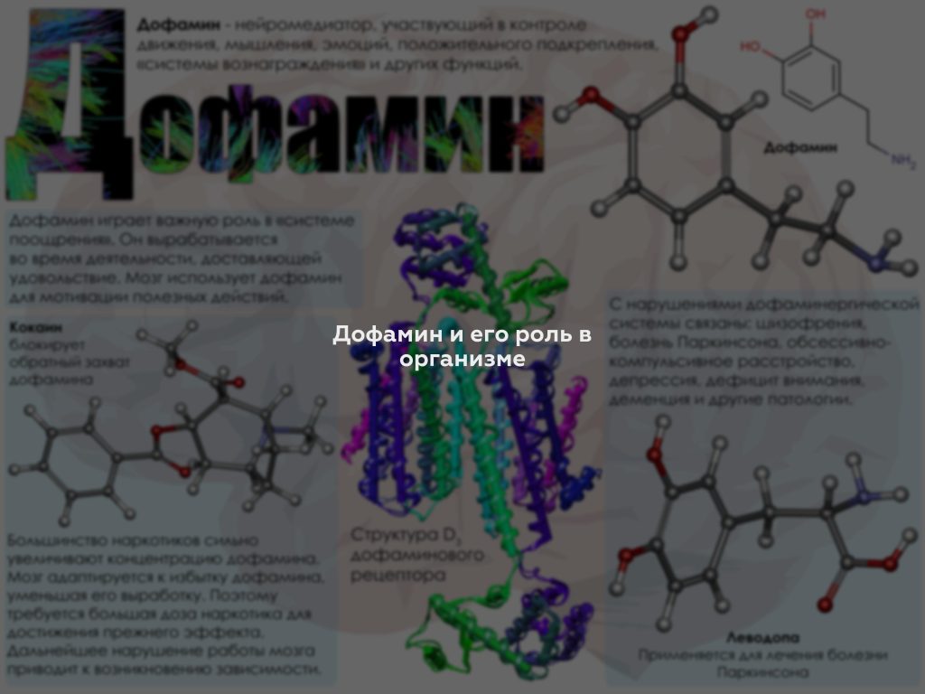 Дофамин и его роль в организме