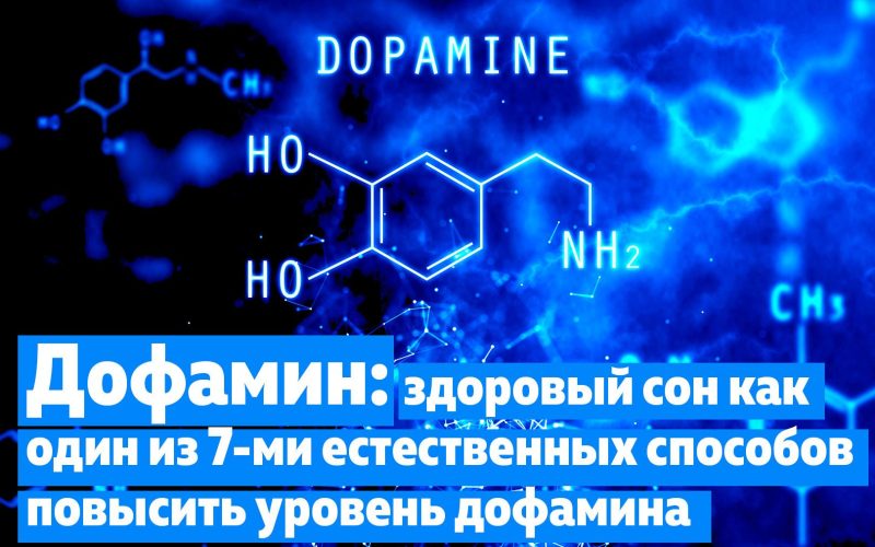 Где есть дофамин?
