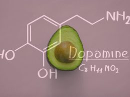 Какие продукты повышают уровень дофамина?