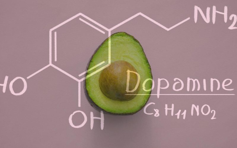 Какие продукты повышают уровень дофамина?