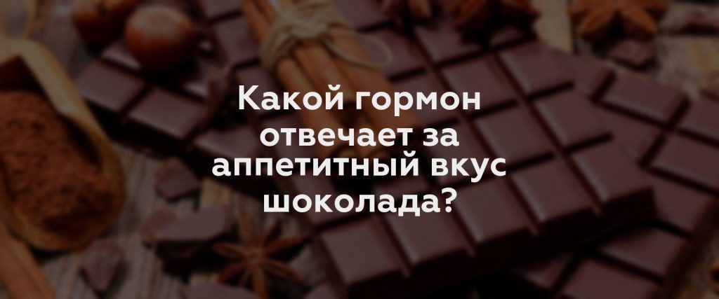Какой гормон отвечает за аппетитный вкус шоколада?