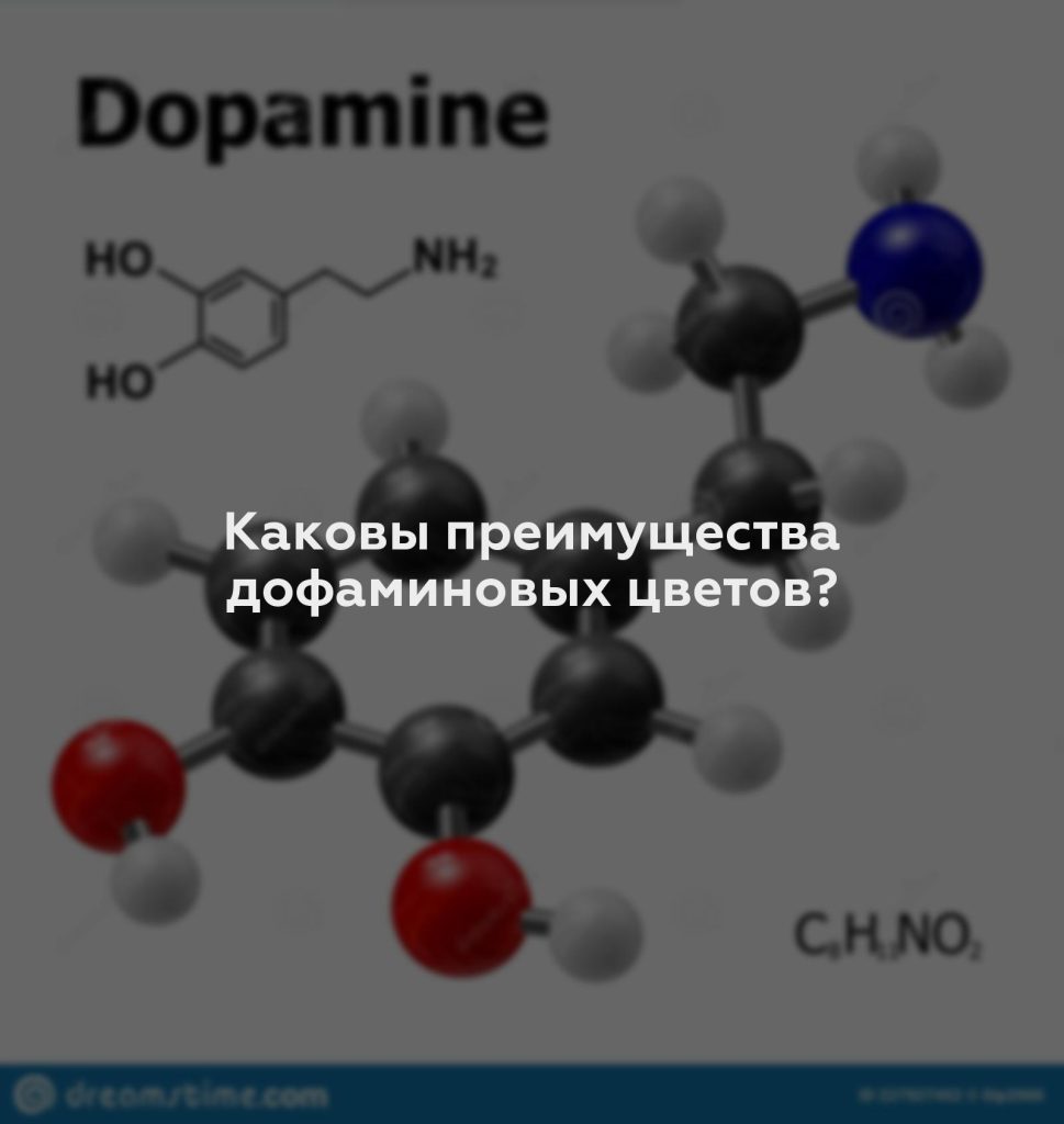 Каковы преимущества дофаминовых цветов?