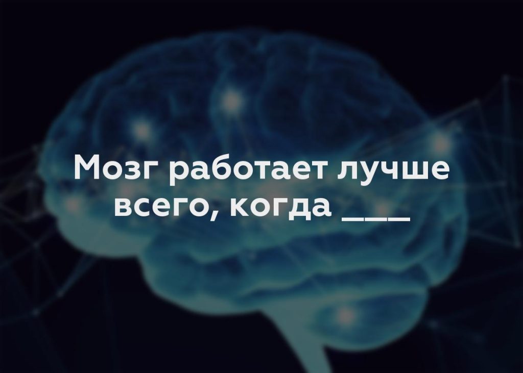 Мозг работает лучше всего, когда ___