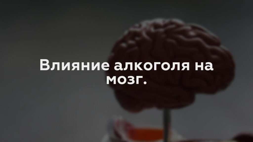 Влияние алкоголя на мозг.