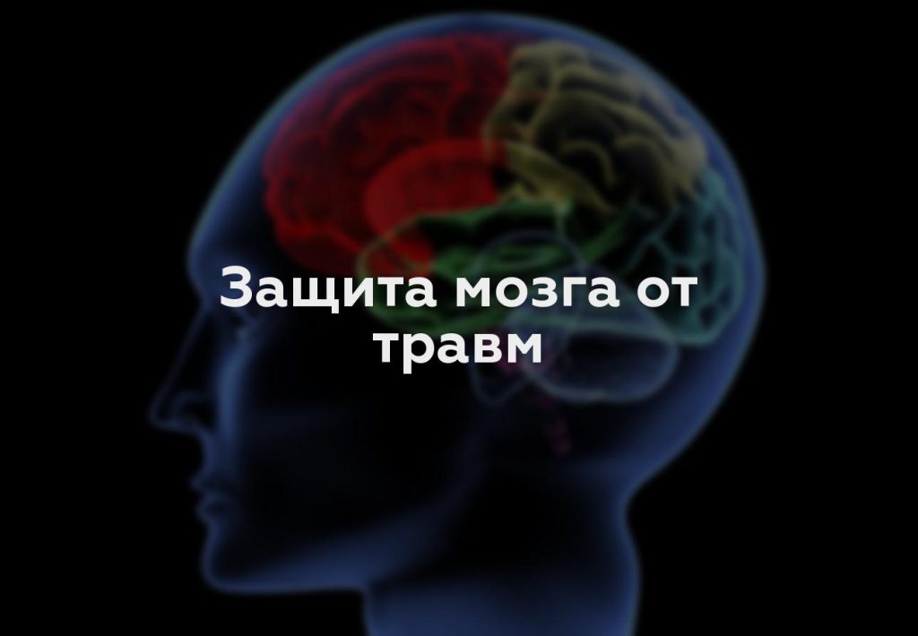 Защита мозга от травм
